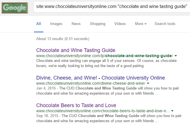 site search operator to find website content